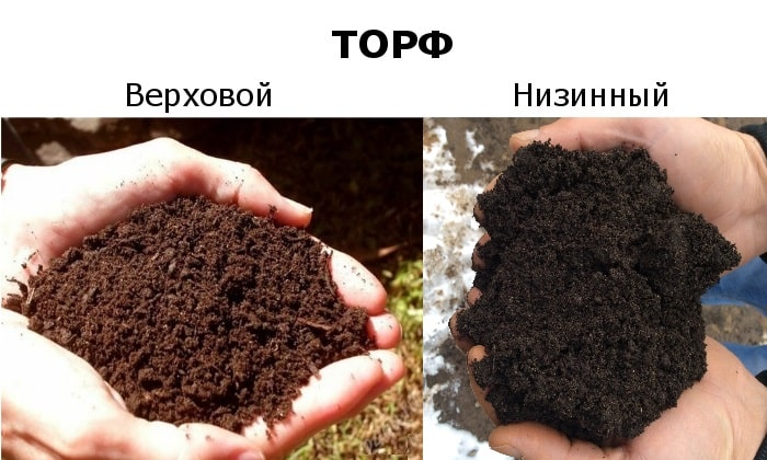 низинный и верховой торф низинный и верховой торф