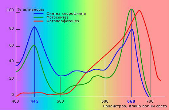 Рекомендованный спектр для организации освещения в теплице