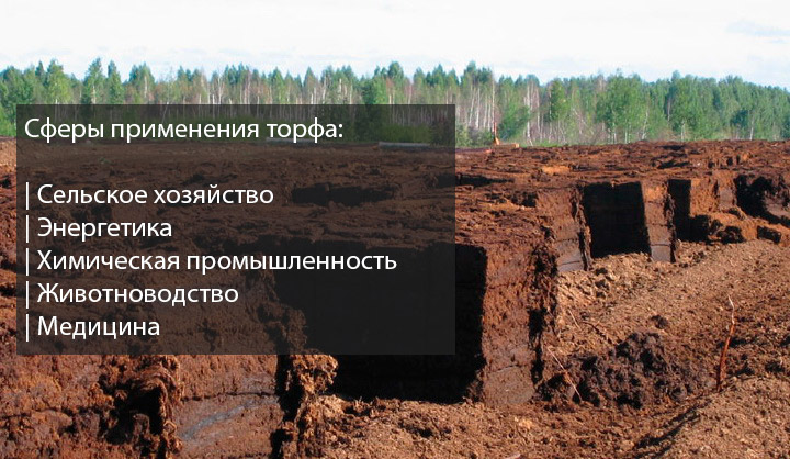 Сферы применения торфа Сферы применения торфа