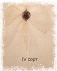 IV	