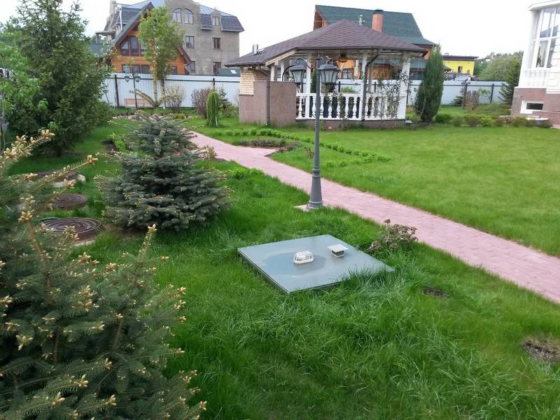 Расстояния от септика до деревьев на участке